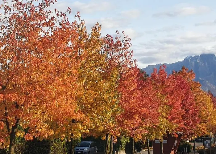 Villa Lago Foreground Lakefront Beach Bike&Boat& Scooter Lake Como Holiday home *