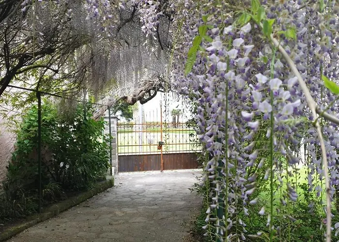 Villa Lago Foreground Lakefront Beach Bike&Boat& Scooter Lake Como