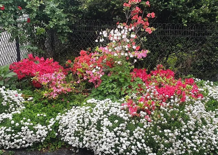 Villa Lago Foreground Lakefront Beach Bike&Boat& Scooter Lake Como