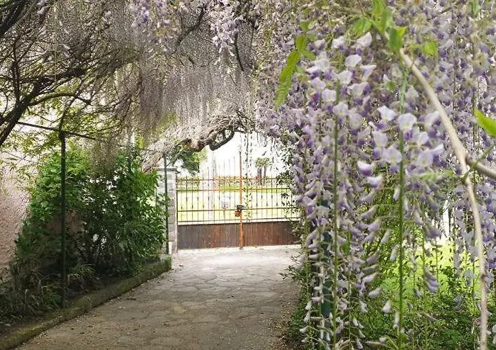 Villa Lago Foreground Lakefront Beach Bike&Boat& Scooter Lake Como Holiday home *