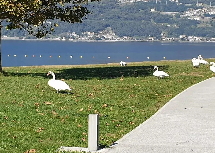 Villa Lago Foreground Lakefront Beach Bike&Boat& Scooter Lake Como * Colico
