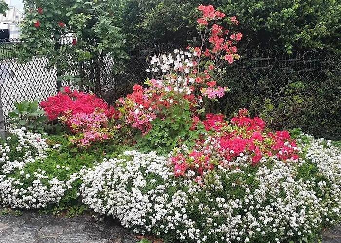 Villa Lago Foreground Lakefront Beach Bike&Boat& Scooter Lake Como * Colico