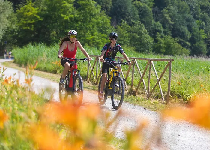 Villa Lago Foreground Lakefront Beach Bike&Boat& Scooter Lake Como Holiday home Colico