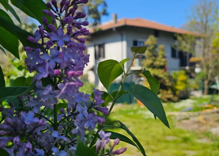 Villa Lago Foreground Lakefront Beach Bike&Boat& Scooter Lake Como