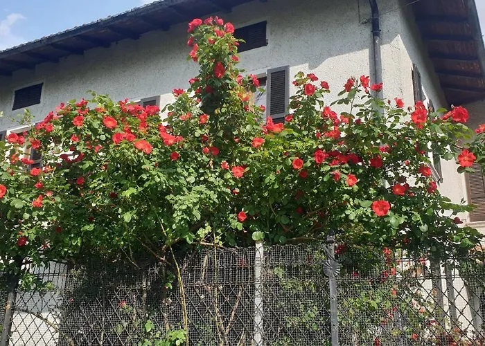 Villa Lago Foreground Lakefront Beach Bike&Boat& Scooter Lake Como Holiday home
