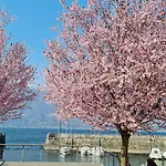 Foreground Lakefront Bike&boat& Scooter コーリコ