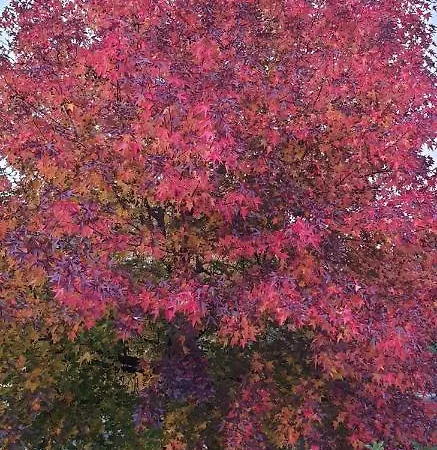 Dom wakacyjny Foregorund Lakeview Winter Retreat Three-bedroom With Balcony