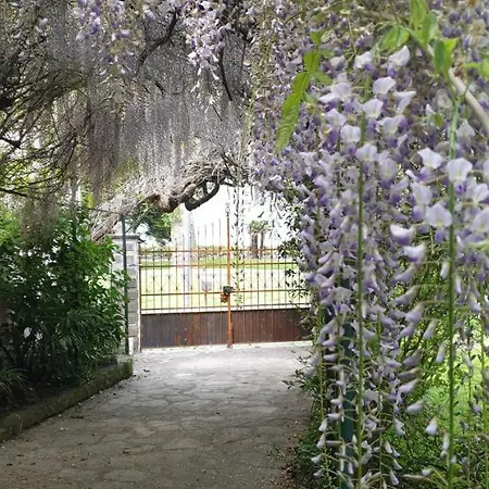 Foregorund Lakeview Winter Retreat Three-bedroom With Balcony