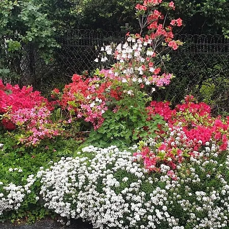 Foregorund Lakeview Winter Retreat Three-bedroom With Balcony