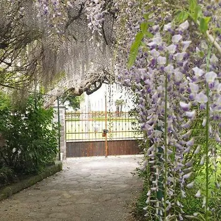 Foregorund Lakeview Winter Retreat Three-bedroom With Balcony Dom wakacyjny *