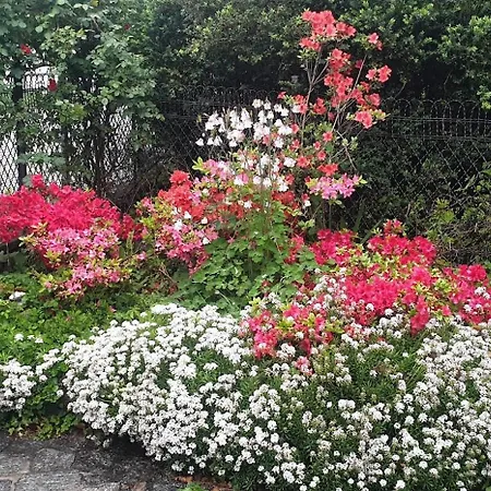 Foreground - Pet Friendly Stay- Garden-parking-lake View- Bike Friendly House * Colico
