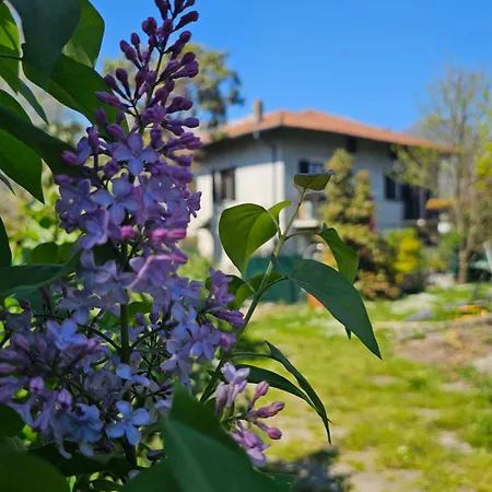 Foregorund Lakeview Winter Retreat Three-bedroom With Balcony