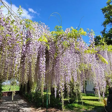 Foregorund Lakeview Winter Retreat Three-bedroom With Balcony Dom wakacyjny Colico