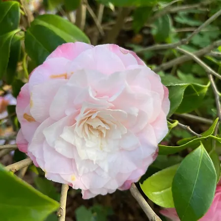 Foregorund Lakeview Winter Retreat Three-bedroom With Balcony Colico