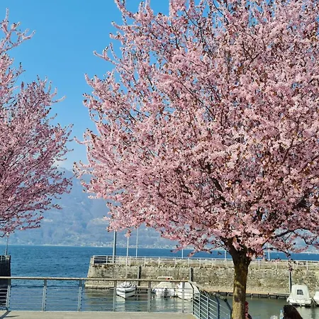 Foregorund Lakeview Winter Retreat Three-bedroom With Balcony Colico