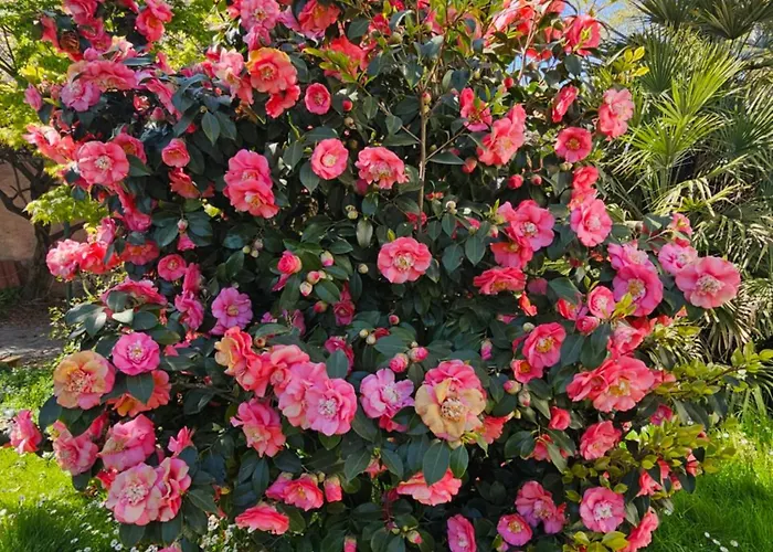 Foreground Lakefront Bike&boat& Scooter בית נופש *