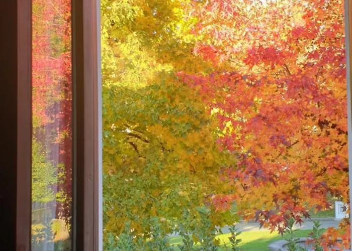 בית נופש Foreground Lakefront Bike&boat& Scooter *