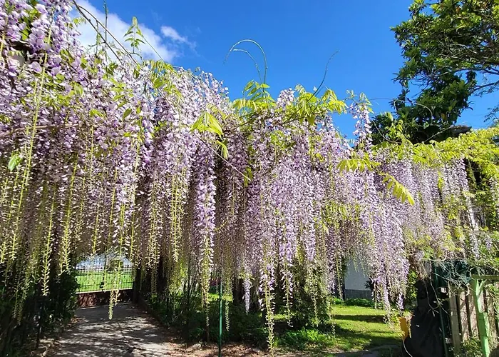 Foreground Lakefront Bike&boat& Scooter בית נופש קוליקו