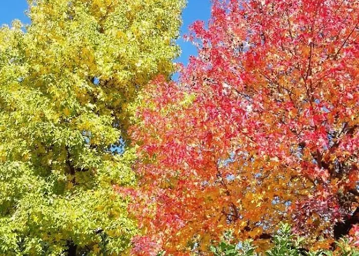 בית נופש Foreground Lakefront Bike&boat& Scooter