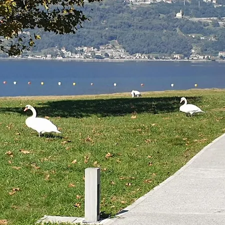 Foregorund Lakeview Winter Retreat Three-bedroom With Balcony * Colico