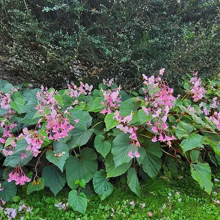 Foregorund Lakeview Winter Retreat Three-bedroom With Balcony Feriehus Colico