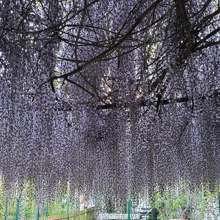 Foregorund Lakeview Winter Retreat Three-bedroom With Balcony