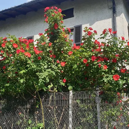 Foregorund Lakeview Winter Retreat Three-bedroom With Balcony Feriehus