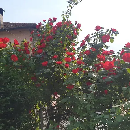 Foregorund Lakeview Winter Retreat Three-bedroom With Balcony * Colico